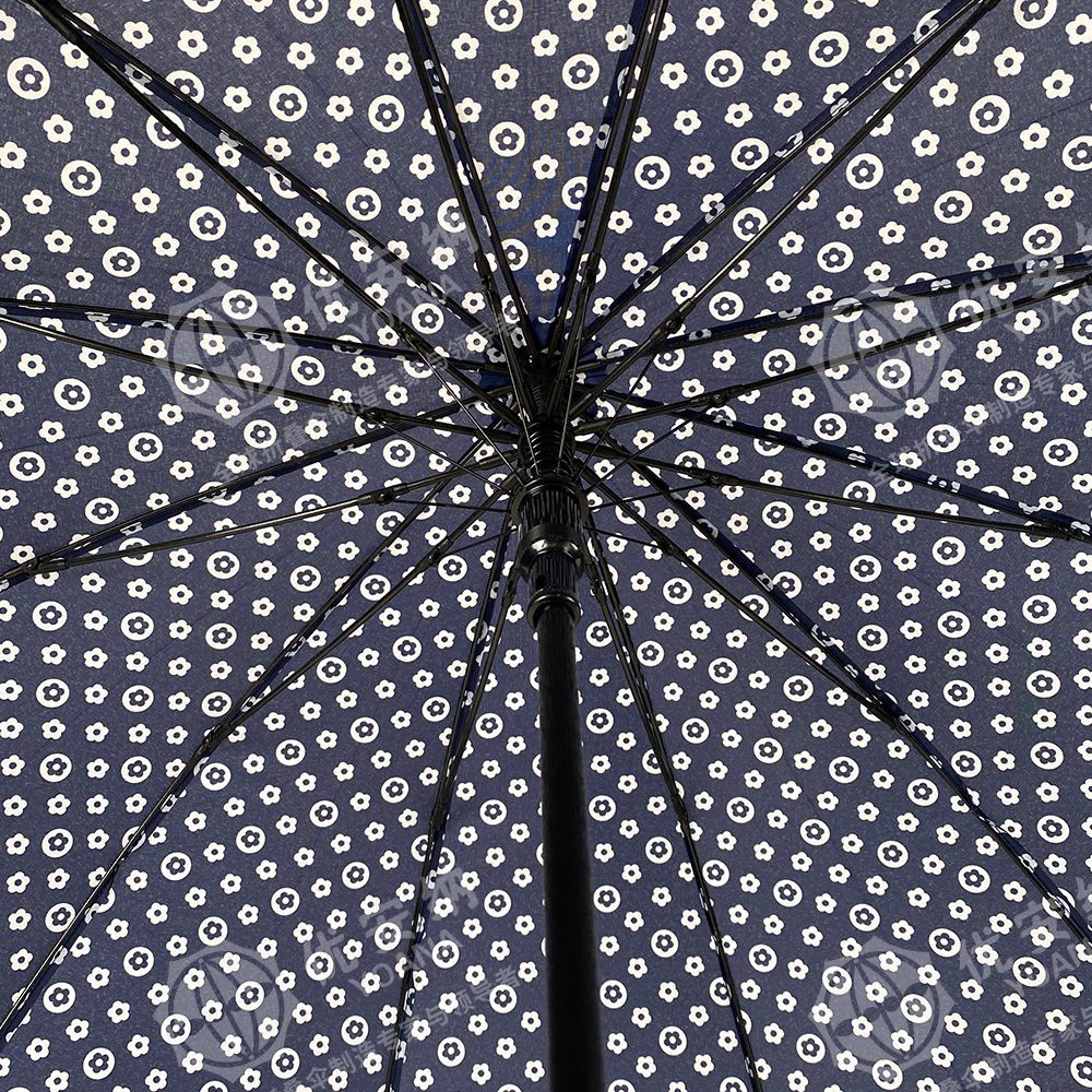 1000px-6.jpg